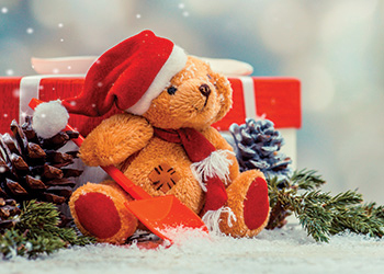 Holiday, Toy Drive, Teddy Bear, Toy Collection, Drive